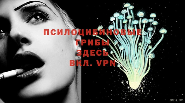 гидропоника Богородицк