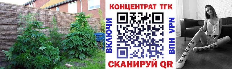 ТГК жижа  цена наркотик  Колпашево 