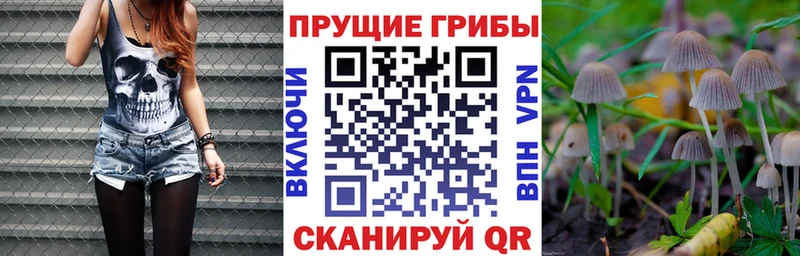 Галлюциногенные грибы мицелий  Колпашево 